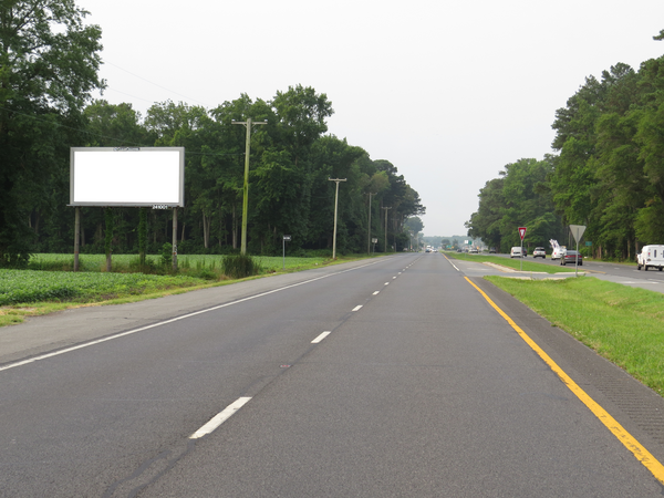 US 113 ES 0.8mi N/O SR 54 F/N - 1