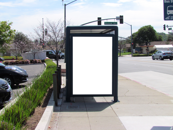 VTA Meridian Av ES 110ft N/O Blossom Hill Rd F/N - 2