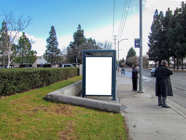 VTA Senter Rd ES 180ft S/O Needles Dr F/S - 2
