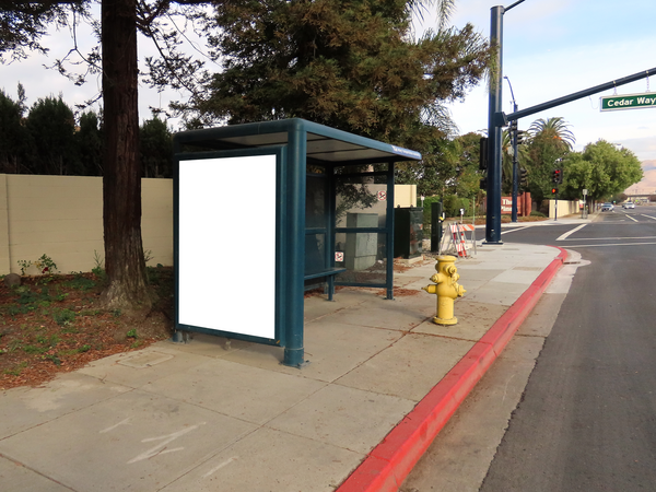 VTA Main St WS 50ft S/O Cedar Wy F/S - 2