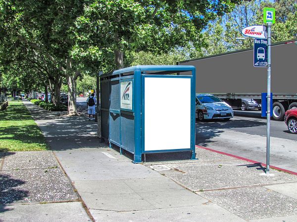 VTA Alameda WS 40ft N/O Naglee Av F/S - 2