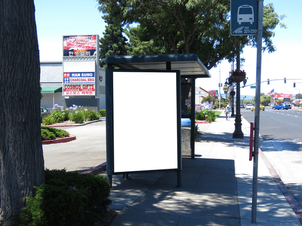 VTA El Camino Real SS 250ft E/O Kiely Blvd F/E - 2