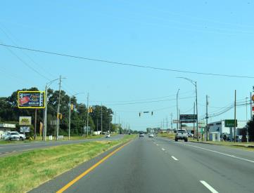 HWY 231 WL 300' S/O BROKENREIN DR FS