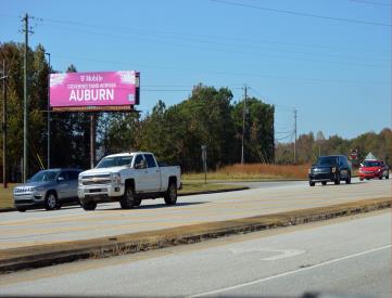 W/S HWY 280 N/O PEPPERELL PKWY