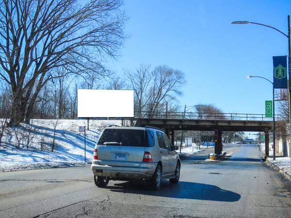 87th St SS 550ft W/O Kimbark Av F/E - 1