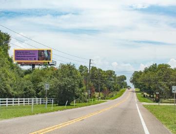 SR 46 N/S 4.75 MI E/O US 441