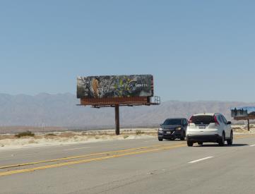 GENE AUTRY WL .9 MI N/O VISTA CHINO SF