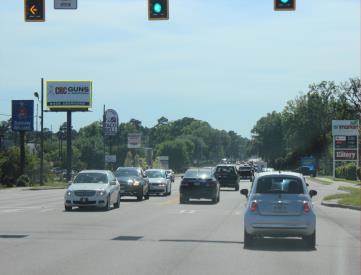 E/S HWY 17 458' S/O CHAT PKWY F/N
