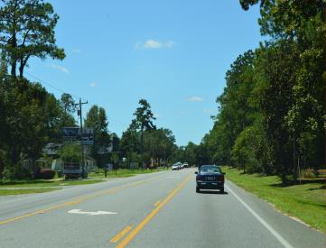 E/S HWY. 319 S/O MIMOSA ST