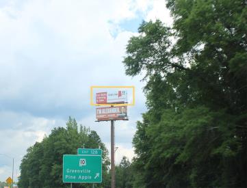 E/S I-65 .2 MI S/O HWY 10 F/S (Top Face)