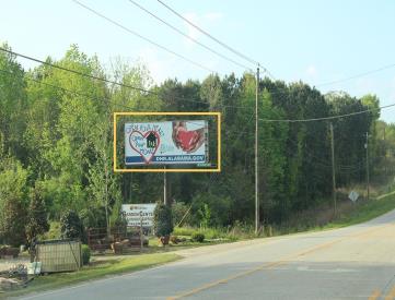 E/S HWY 431 S/O MORRIS AVE F/N OPELIKA