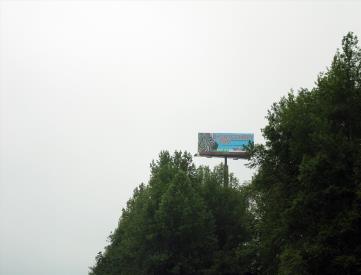 W/S I-65 5 MI. S/O HWY. 145 F/N