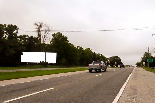 US 13 Dupont Hwy ES 0.3mi N/O SR 42 Fast Landing Rd F/N - 1