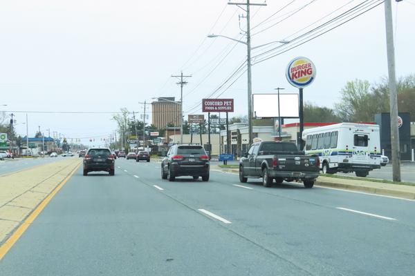 US 202 Concord Pk WS 100ft N/O McDaniel Av F/N - 1