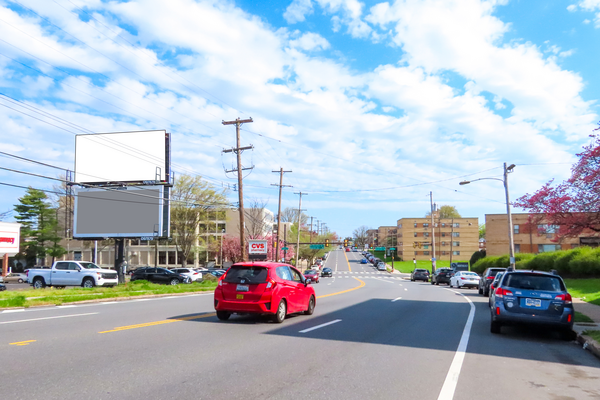 Bustleton Av WS 100ft N/O Lansing St F/S - 1