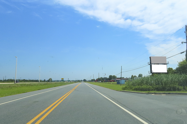 US 301 ES 3mi S/O SR 299 F/S - 1