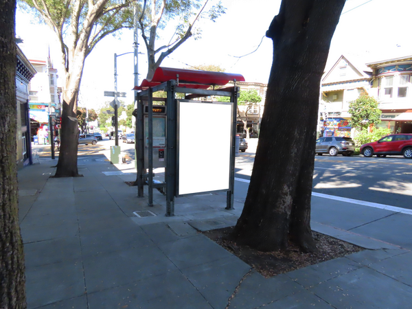 Masonic Ave WS 20ft S/O Haight St F/S - 2