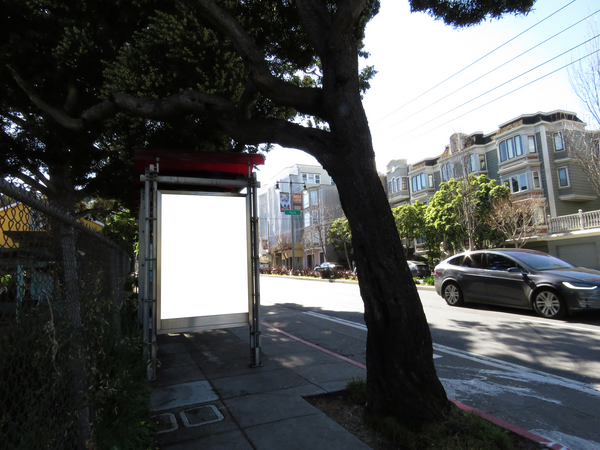 Divisadero St ES 79ft S/O Eddy St F/N - 2