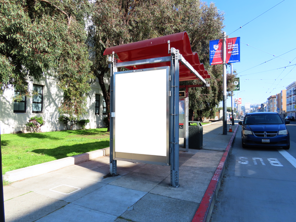 Chestnut St NS 39ft E/O Fillmore St F/W - 2