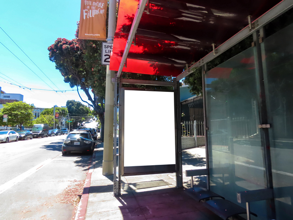 Fillmore St WS 68ft S/O McAllister St F/N - 1