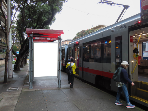 Irving St SS 36ft W/O Arguello Blvd F/E - 2