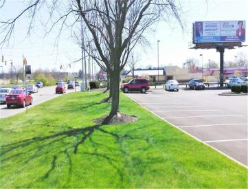 6525 TUSSING ROAD 1000' E/O BRICE ROAD #1 (Tri-Vision)