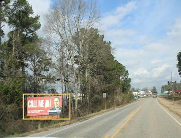 W/S HWY 55 @ HOLLOW LANE