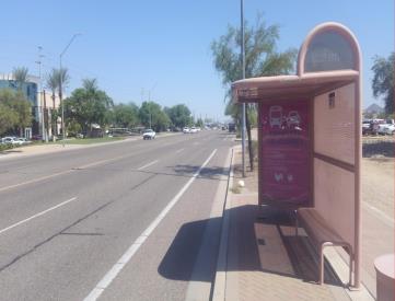 NB 19TH AVE FS LONE CACTUS DR
