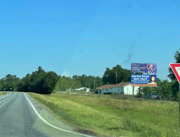 US 84 0.5 mi W/O SR 45 NS FE BOTTOM