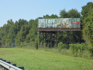 I-75 0.3 mi N/O Pinehurst-Hawkinsville Rd. (EXT117) WS/FN