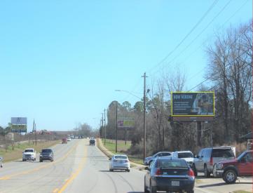 US 280 0.3 mi W/O LYONS CTR RD SS