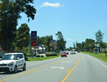 E/S HWY 319 S/O DOGWOOD F/N (BOTTOM)