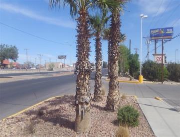 MCCRAE BLVD N/O WEDGEWOOD E/S