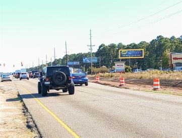 US HWY 501 S/S 3.79 MI W/O FORESTBROOK RD