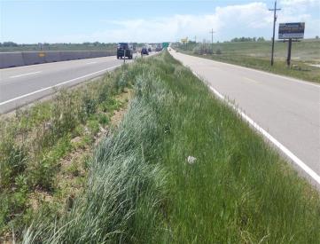 I-25 1.7 MI S/O EXIT 265 AT 263.31 WS NF