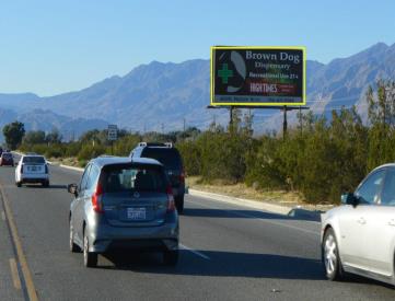 PALM DR WL 300' N/O CLAIRE NF