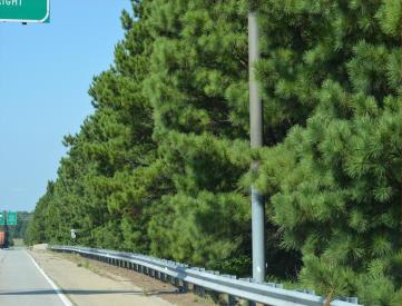 HWY 20 @ HWY 19/41 NS/FE