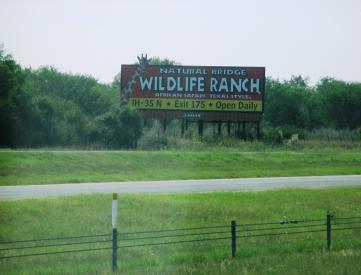 I-37 2.9 MI S/O US 281 W/S F/S