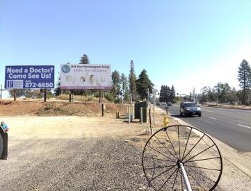 Skyway NL 200' W/O Black Olive FW