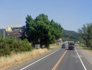Hwy 101 WL 1300' s/o Mountain House Rd FS