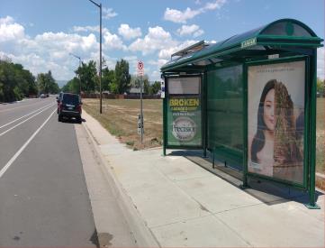 CARLISLE DR W/O TYLER AVE NS 1