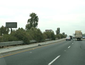 Hwy 99 EL 1.5 miles n/o Avenue 104