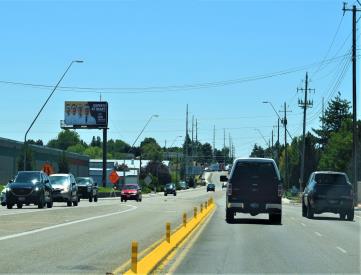 MAPLE GROVE ROAD 655' S/O EMERALD STREET EL NF
