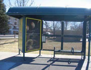 1793 LAKE AVE 50' E/O CHEYENNE MTN BLVD SS WF