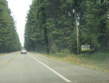 Hwy 101 EL 2000' n/o Wonder Stump Rd.