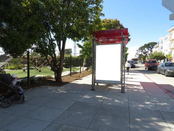 Laguna St WS 21ft N/O Chestnut St F/S - 2