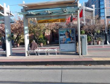 University & Tyndall