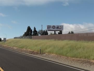 WL I-5 .7 MI S/O DESCHUTES RD FN