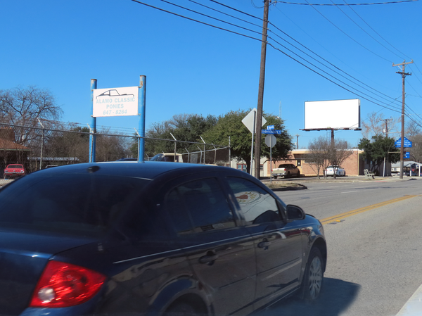 Fredericksburg WS 50ft N/O Agarita F/SE - 1