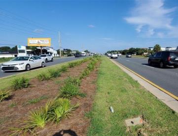 S/S Hwy 98 E/O Gulfstarr Dr Tri-Vision  F/E